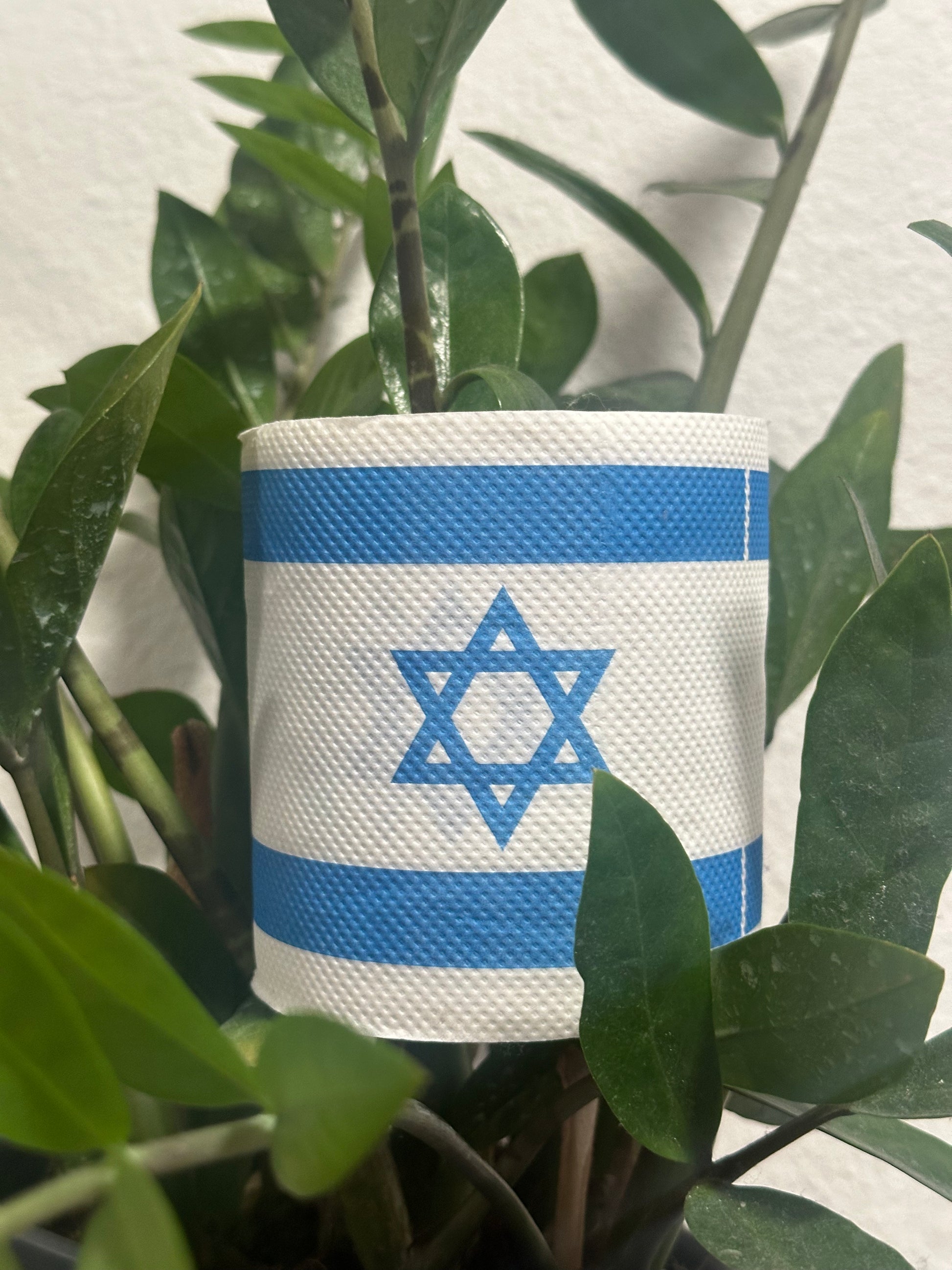 Toilet Paper with Israel flag in plant.